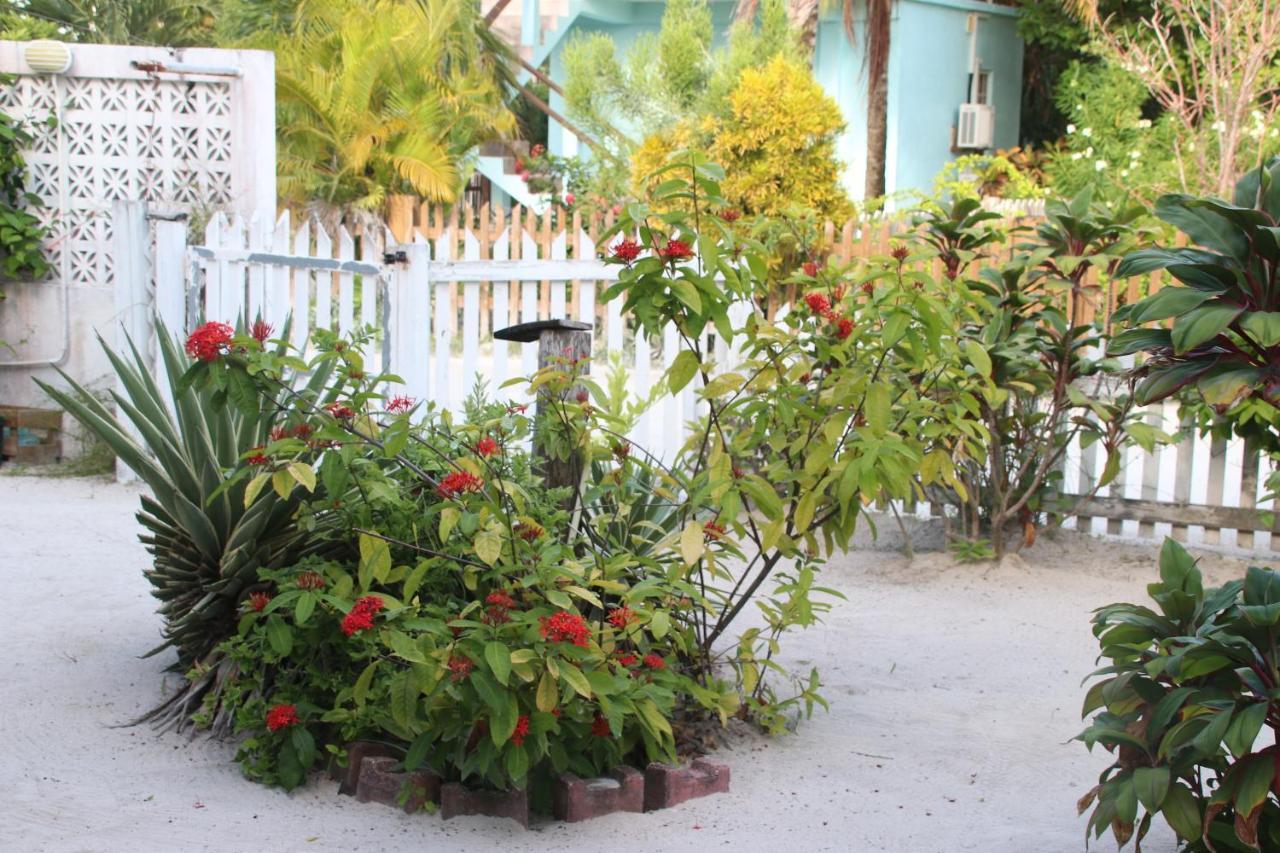 Amanda'S Place Green Studio - Pool And Tropical Garden Кей-Колкер Экстерьер фото